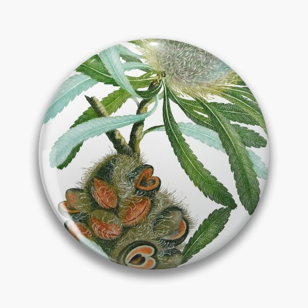Item preview, Banksia Flower designed and sold by Leo Rolph.