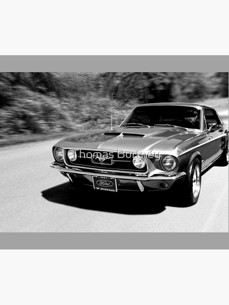 1967 Ford Mustang B/W  by Burtney
