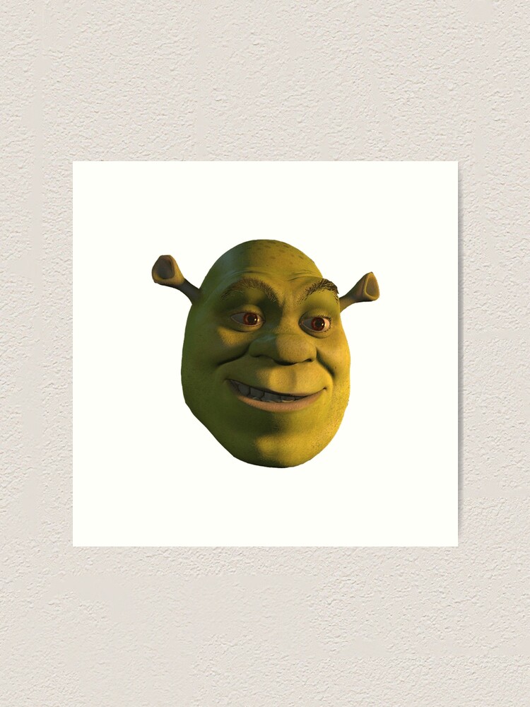 Shrek Funny 'WTF' Face Meme | Photographic Print