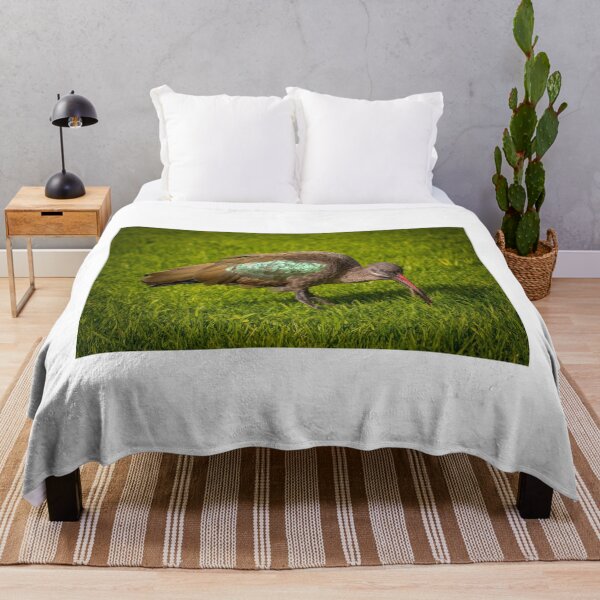 Item preview, Black Ibis in a park at the Canary islands, Spain designed and sold by Anita van Gendt.