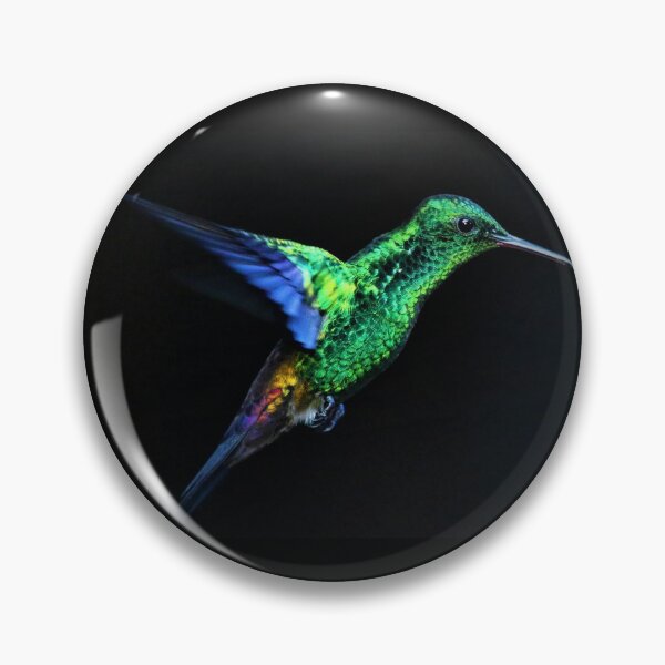 Item preview, Hummingbird blue and green colours on black background designed and sold by hoober24.