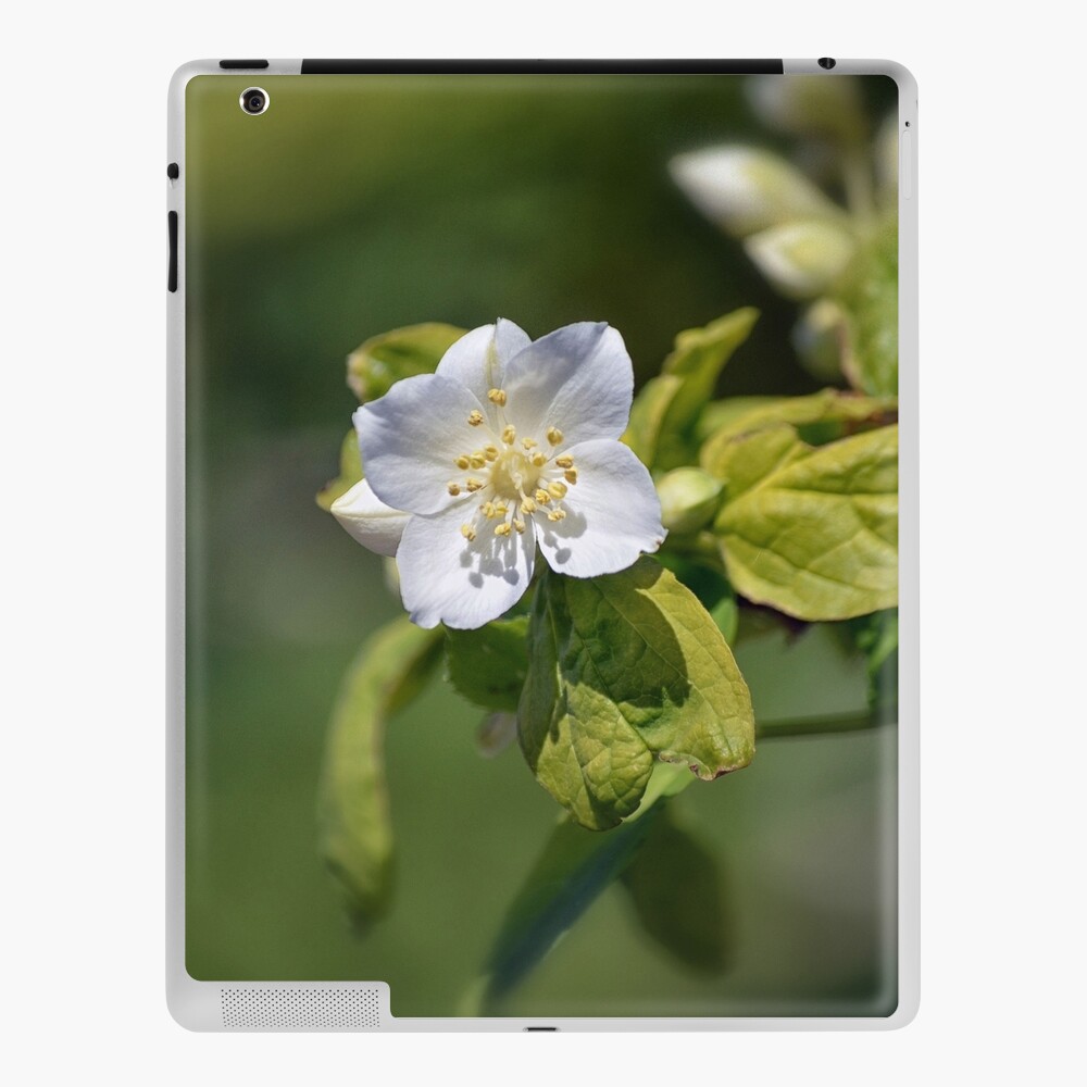Item preview, iPad Skin designed and sold by cokemann.