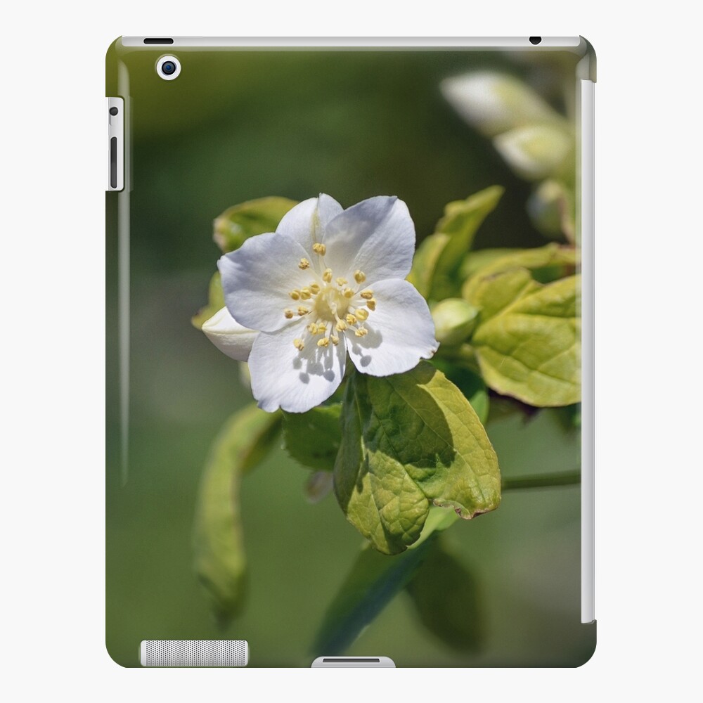 Item preview, iPad Snap Case designed and sold by cokemann.