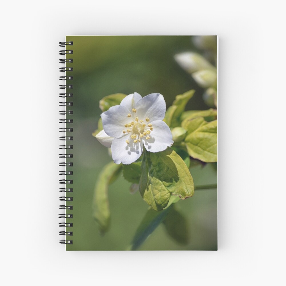 Item preview, Spiral Notebook designed and sold by cokemann.