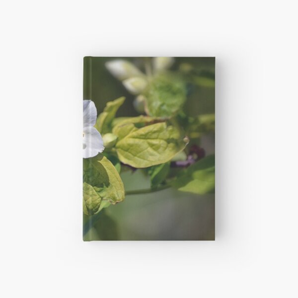 a bit of green 03.02.2021 Hardcover Journal
