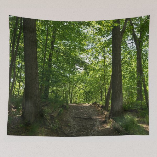 Item preview, Forest Bathing - Woodland Path for a Healing Immersion in Nature designed and sold by Georgia Mizuleva.