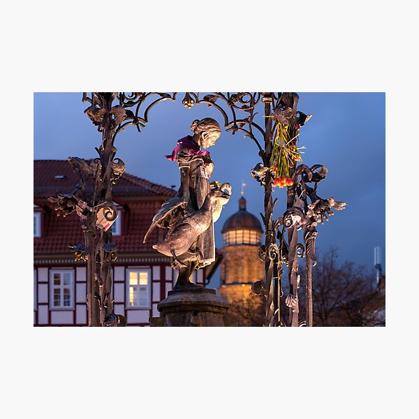 Gooseiesel Göttingen Photographic Print