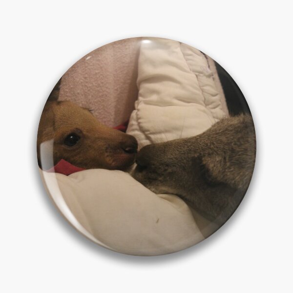 Item preview, Hetti comforting new joey Jethro designed and sold by Murrindindi Ranges Wildlife Shelter .