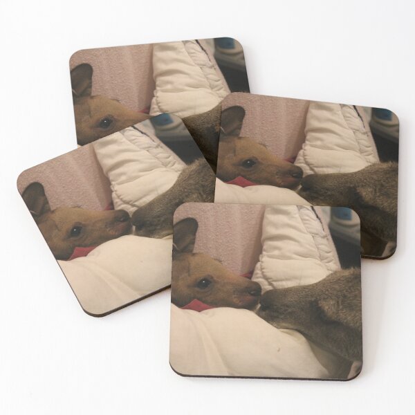 Item preview, Hetti comforting new joey Jethro designed and sold by Murrindindi Ranges Wildlife Shelter .
