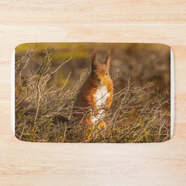Item preview, Red Squirrel designed and sold by Rosscoe1985.