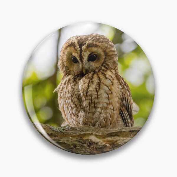 Item preview, Tawny Owl designed and sold by Rosscoe1985.