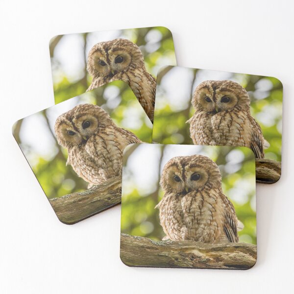 Item preview, Tawny Owl designed and sold by Rosscoe1985.