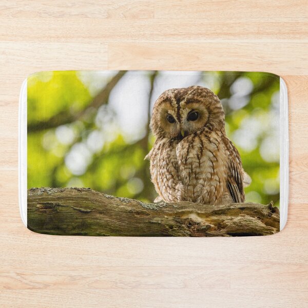Item preview, Tawny Owl designed and sold by Rosscoe1985.