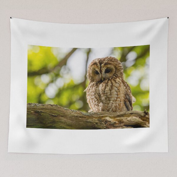 Item preview, Tawny Owl designed and sold by Rosscoe1985.