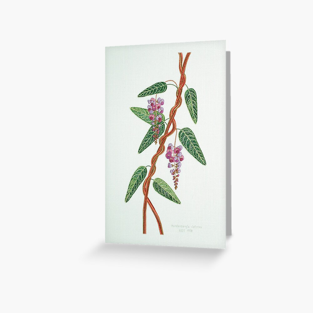 Native Lilac, Hardenbergia violacea 1998 Greeting Card