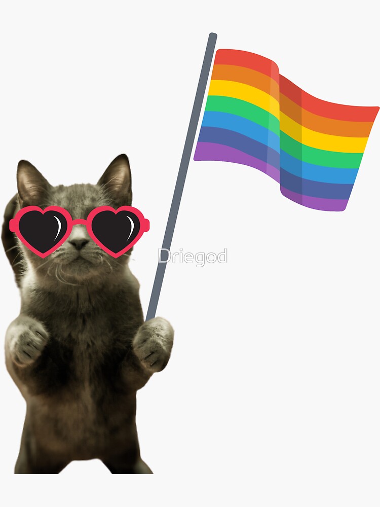 Lgbtq Flag Cat Sticker By Driegod Redbubble