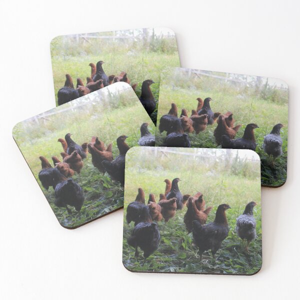 Item preview, Hens on the Run by Carolanne Kennedy designed and sold by Carolanne Kennedy.