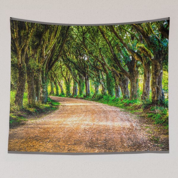 Item preview, Weirwood Trees Over Deserted Lane  designed and sold by Paul Thompson Photography.