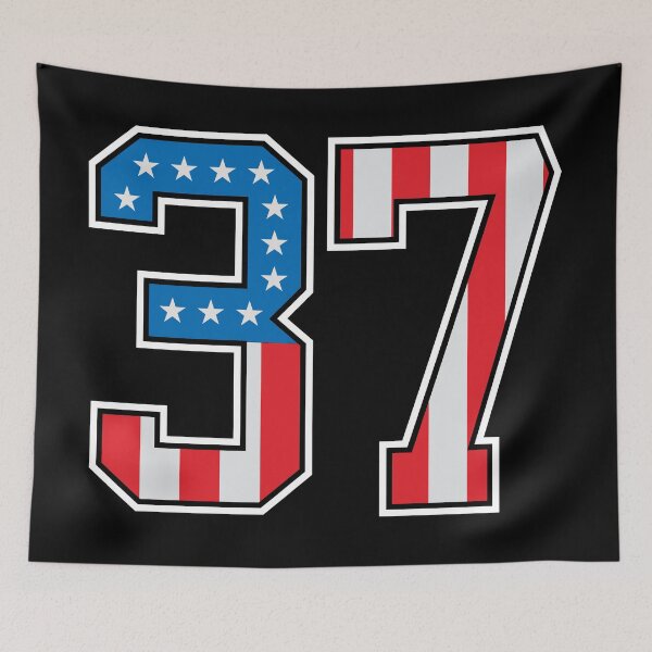 Item preview, 37 American Classy Numbers thirty-seven United States Flag designed and sold by Urosek.