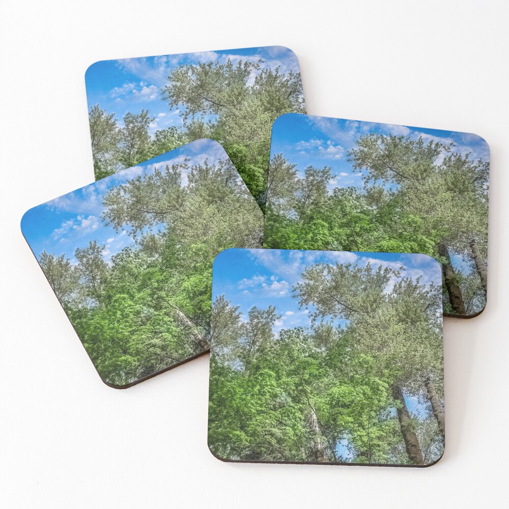 Item preview, Coasters (Set of 4) designed and sold by Bassbro.