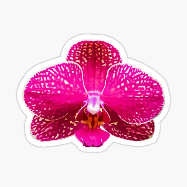 Item preview, Pink Orchid designed and sold by AmyWhy.