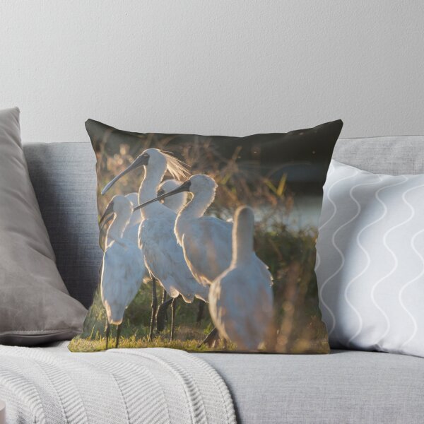 Item preview, Sunset Meeting Time designed and sold by byronbackyard.