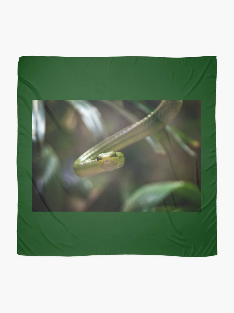 Thumbnail 2 of 3, Scarf, Green Tree Python designed and sold by BritishYank.