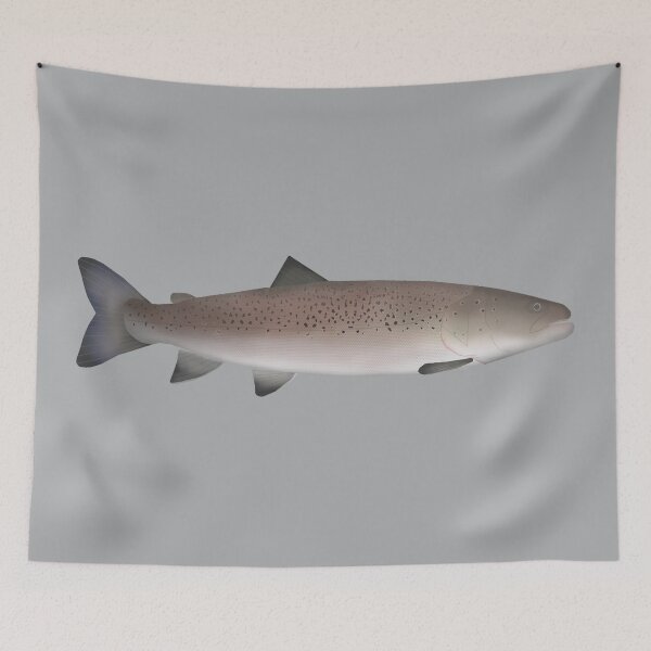 Item preview, Sakhalin Taimen  designed and sold by fishfolkart.