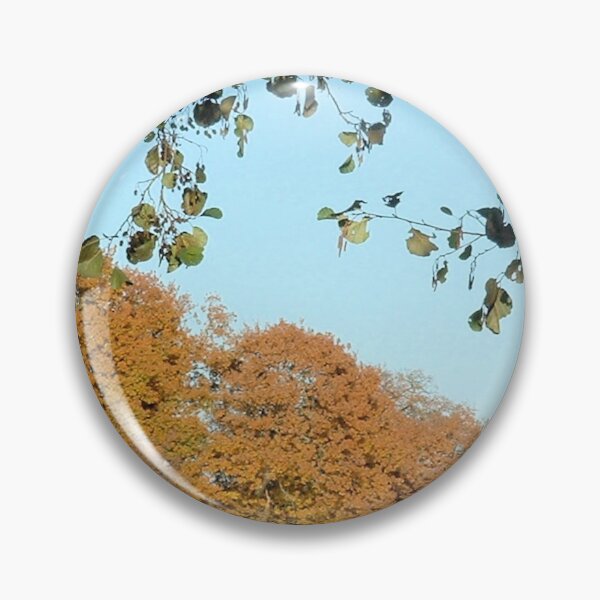 Item preview, Lakes Autumn Colours, Sheffield Park, England designed and sold by QualitySolution.