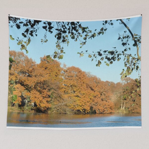 Item preview, Lakes Autumn Colours, Sheffield Park, England designed and sold by QualitySolution.