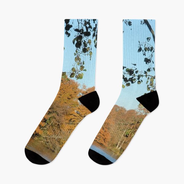 Item preview, Lakes Autumn Colours, Sheffield Park, England designed and sold by QualitySolution.