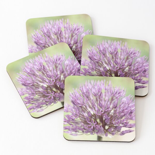 Item preview, Allium  'Powder Puff'  AGM  Ornamental onion designed and sold by Chris Burrows.