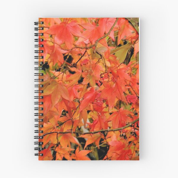 Item preview, Leaves, Sheffield Park, England designed and sold by QualitySolution.