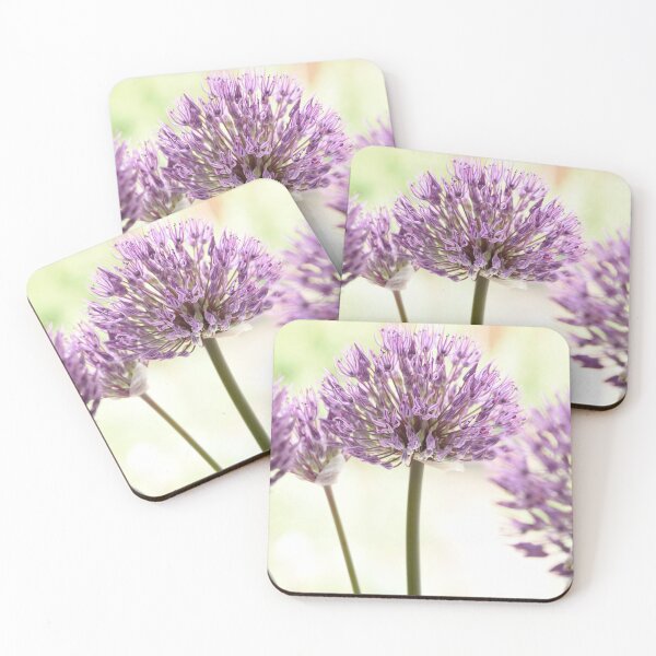 Item preview, Allium 'Powder Puff' AGM Ornamental onion Edit designed and sold by Chris Burrows.