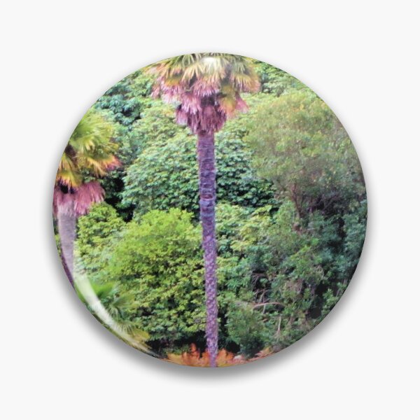 Item preview, Palm Trees, Sheffield Park, England designed and sold by QualitySolution.