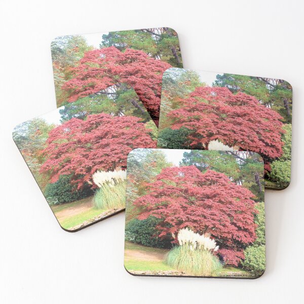 Item preview, Pampas Grass, Sheffield Park, England designed and sold by QualitySolution.