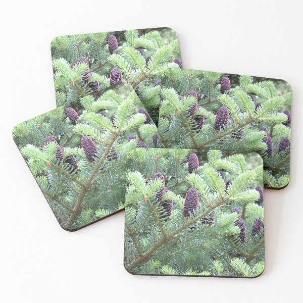 Item preview, Pine Cones, Sheffield Park, England designed and sold by QualitySolution.