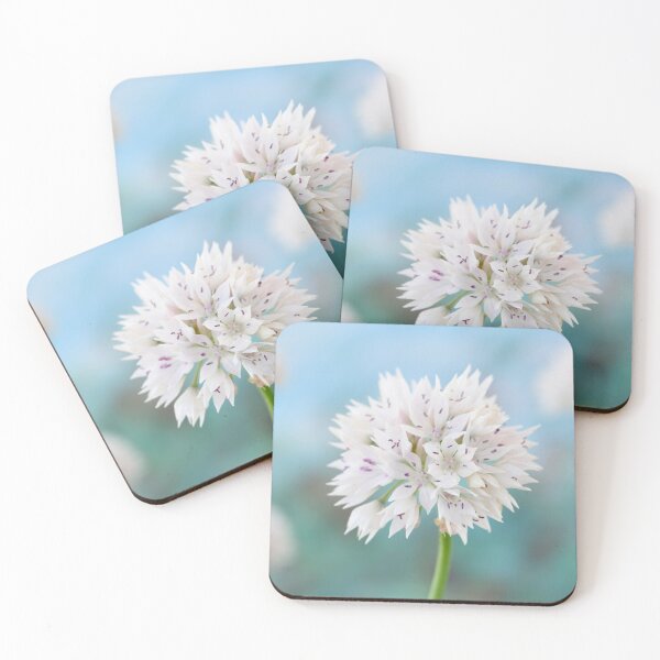 Item preview, Allium amplectens  'Graceful Beauty'  Ornamental onion  Narrowleaf onion designed and sold by Chris Burrows.