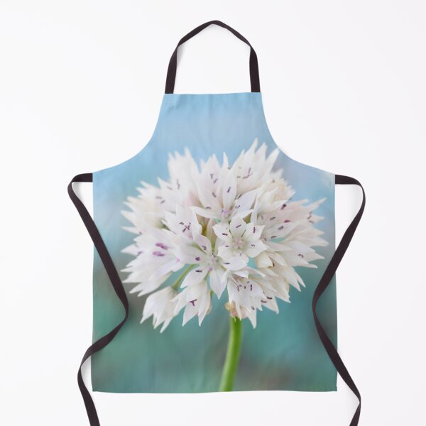 Item preview, Allium amplectens 'Graceful Beauty' Ornamental onion Narrowleaf onion designed and sold by Chris Burrows.