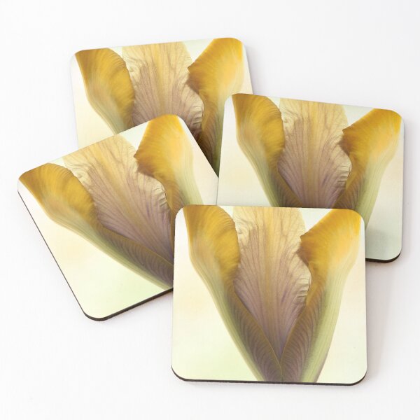 Item preview, Iris  'Bronze Perfection'  Dutch iris designed and sold by Chris Burrows.