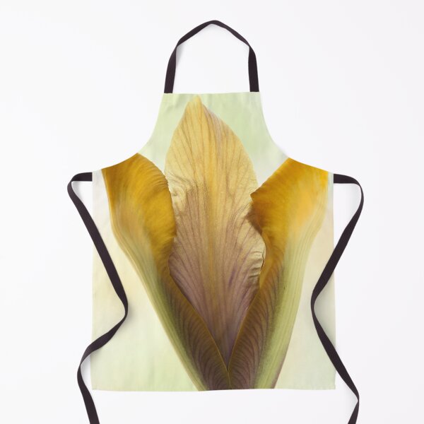 Item preview, Iris  'Bronze Perfection'  Dutch iris designed and sold by Chris Burrows.