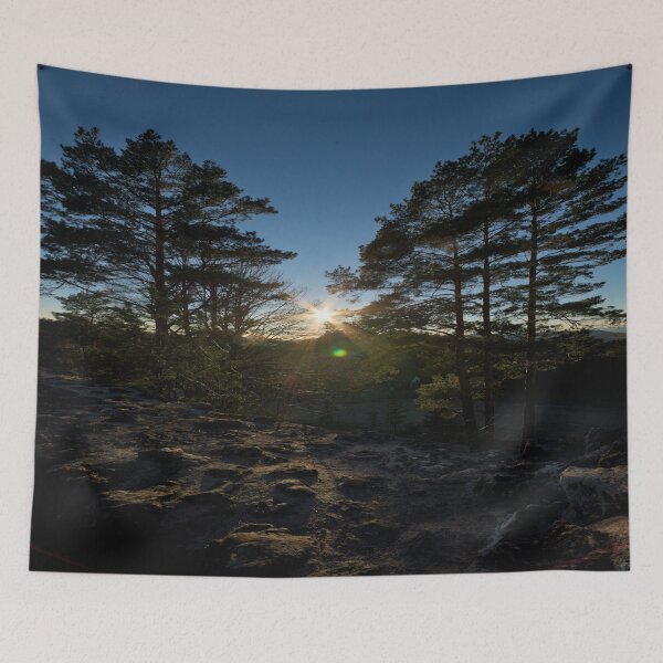 Item preview, Glaring sunset between trees designed and sold by frankuffmann.