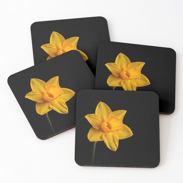 Item preview, Daffodil designed and sold by Nick Jermy.