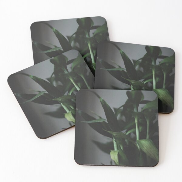 Item preview, Moody Plant designed and sold by Hatimczar.