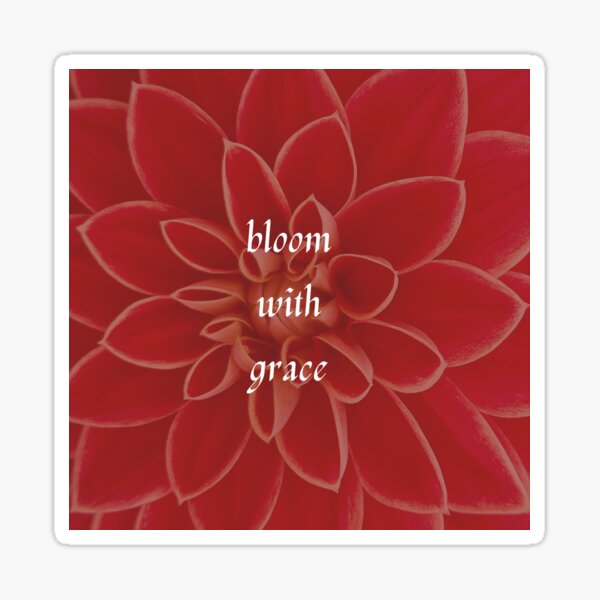 Bloom Where You Are Planted Sticker