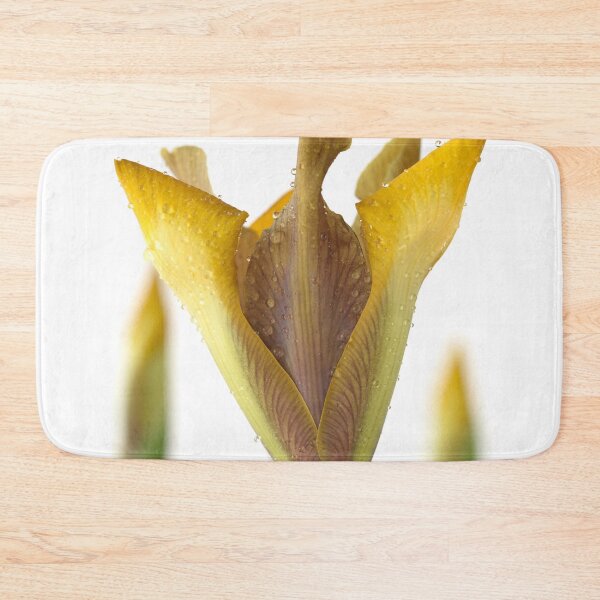 Item preview, Iris 'Bronze Perfection' Dutch iris designed and sold by Chris Burrows.