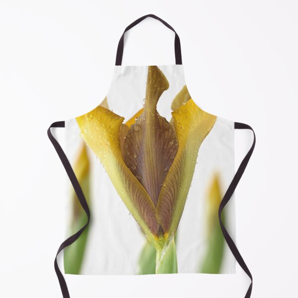 Item preview, Iris 'Bronze Perfection' Dutch iris designed and sold by Chris Burrows.