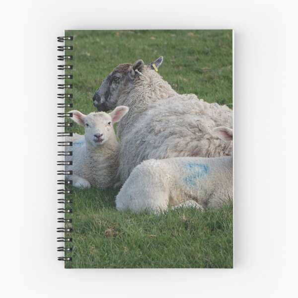 Item preview, Baa designed and sold by frogs123.