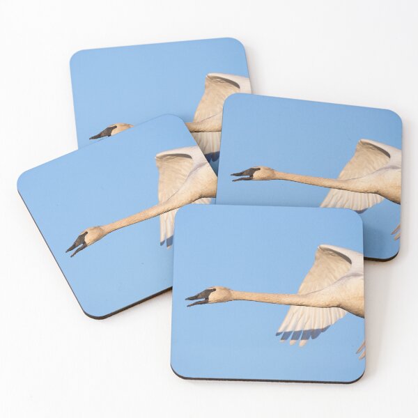 Item preview, Trumpeter Swan designed and sold by Jukka Jantunen.