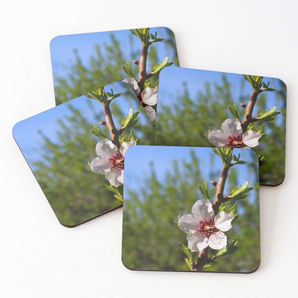 Item preview, Almond flower on a branch in almond orchard designed and sold by Mahirov Shop.